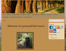 Tablet Screenshot of lynnwoodretrievers.com